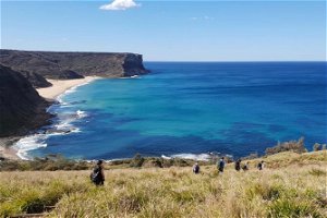 Hike into the Royal National Park
